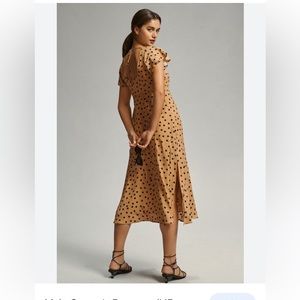 New Anthropologie Dress, US size 2, brown and blue polka dot print
